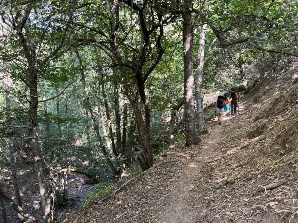 Ruta al Pozo de las Hoyas