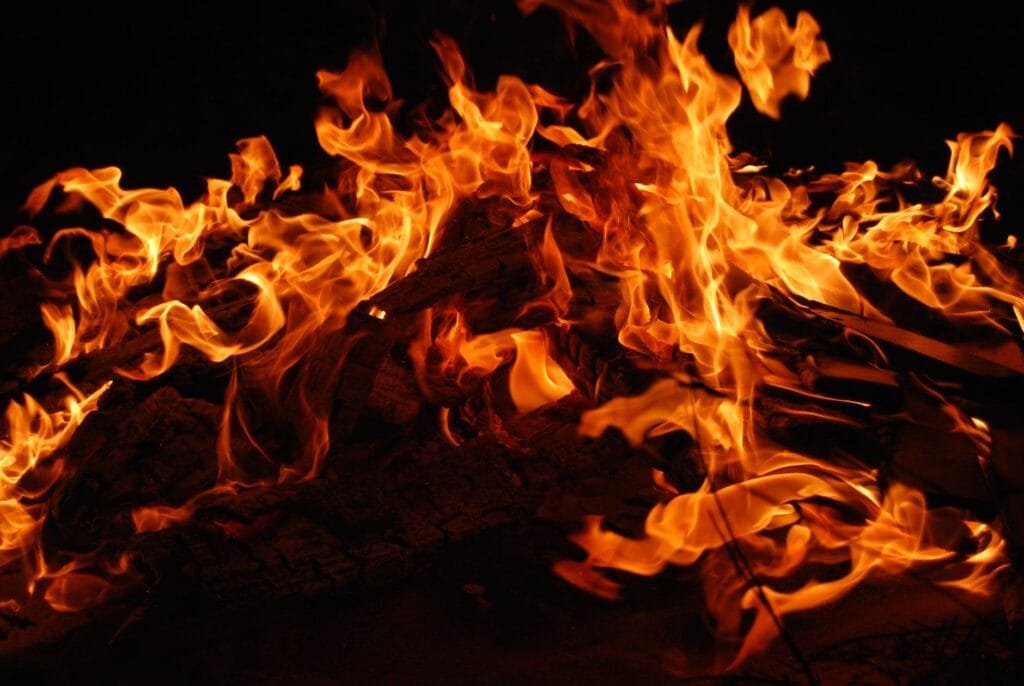 Que hacer en un fuego forestal