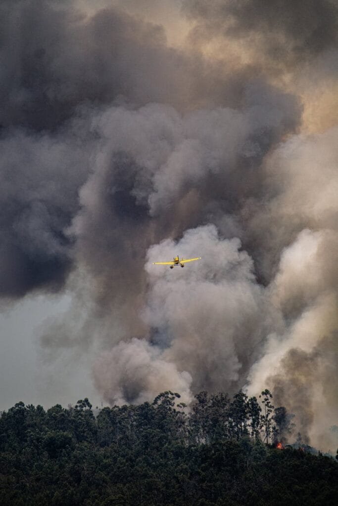 Que hacer en un fuego forestal
