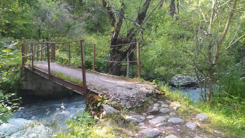 Puente en el rio