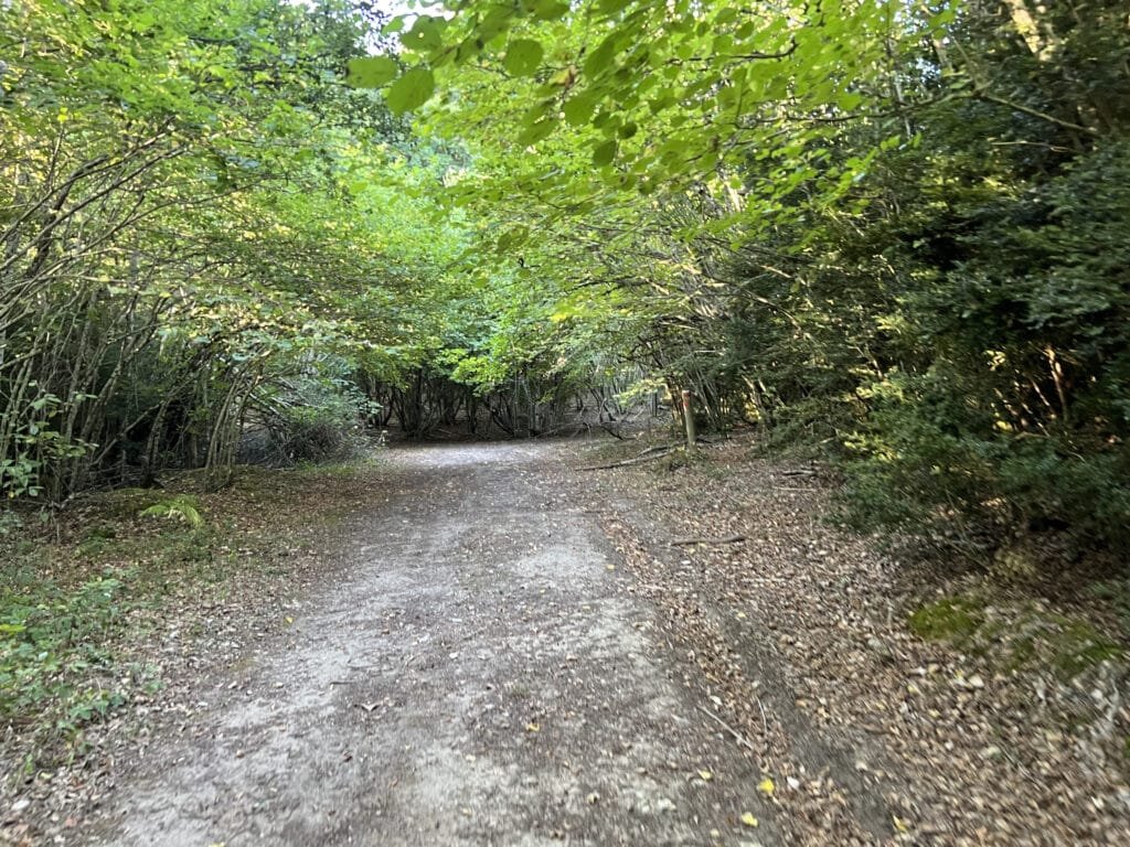 Cresta de Palomares