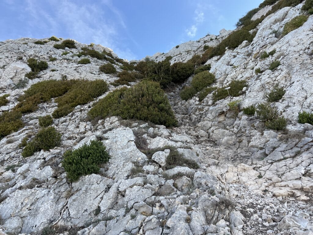 Cresta de Palomares