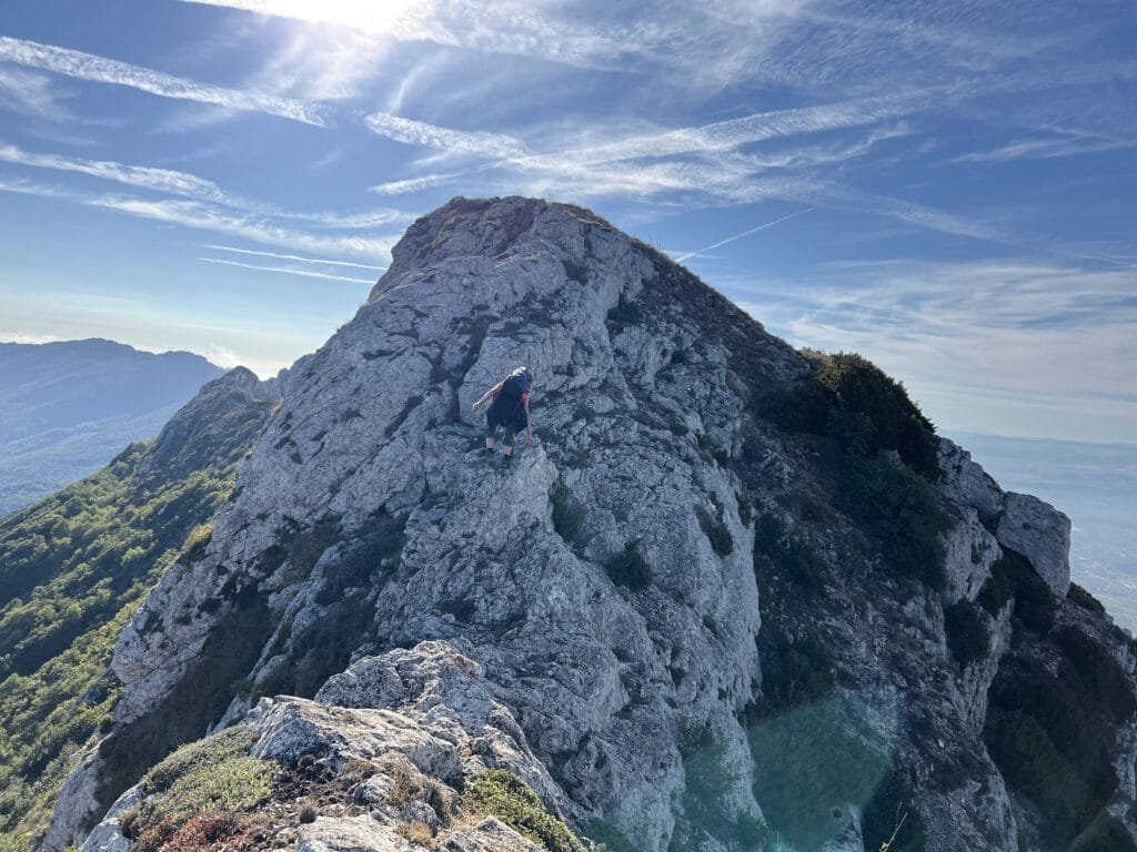 Cresta de Palomares