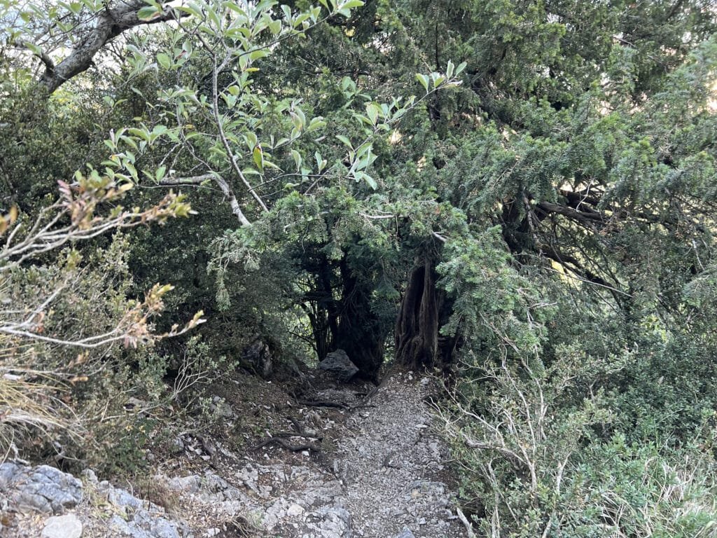Cresta de Palomares