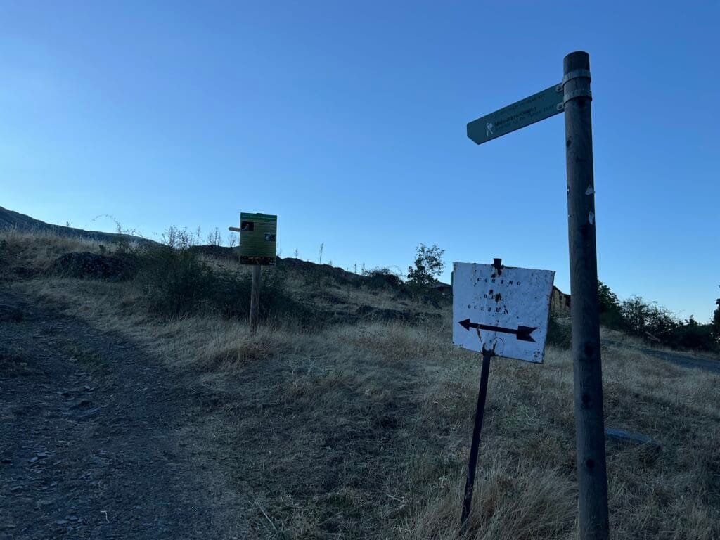 Ruta