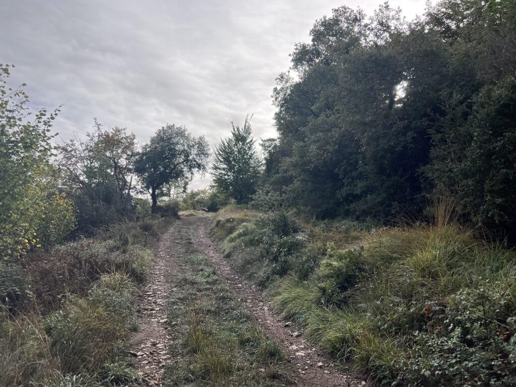 Ruta Circular a Peñalta
