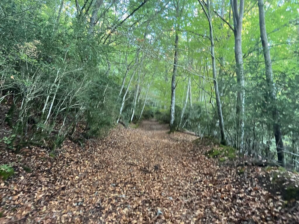 Ruta Circular a Peñalta