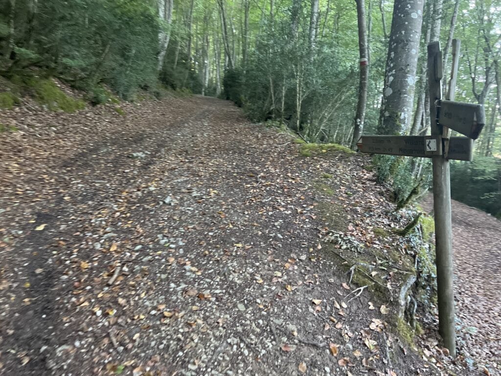 Ruta Circular a Peñalta