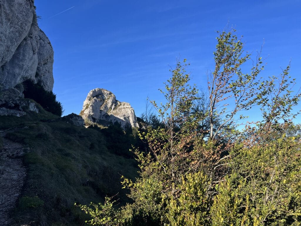Ruta Circular a Peñalta