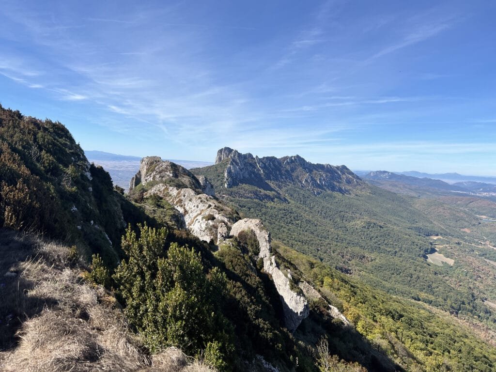 Vistas