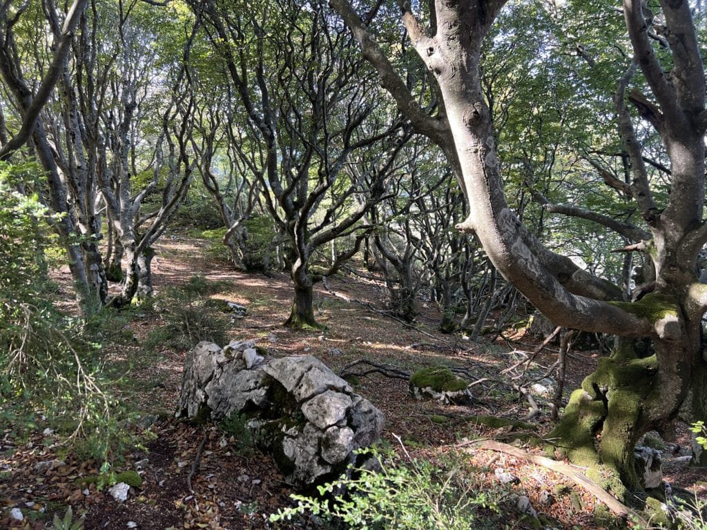 Ruta Circular a Peñalta
