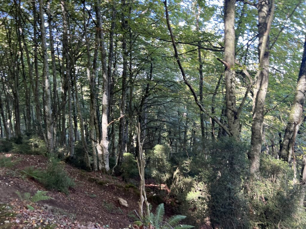 Ruta Circular a Peñalta