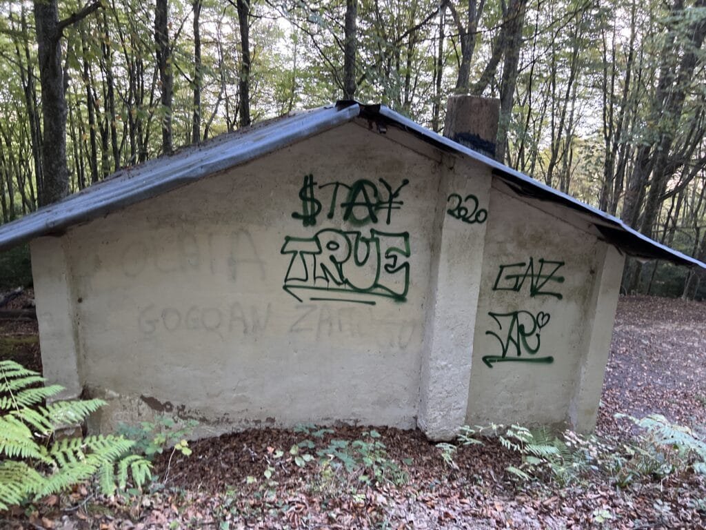 caseta en el bosque