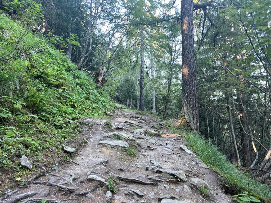 Sendero