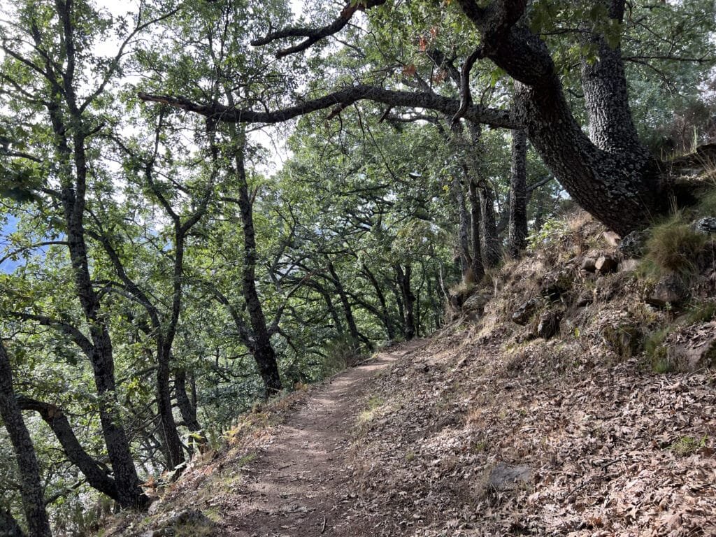 Sendero de gredos