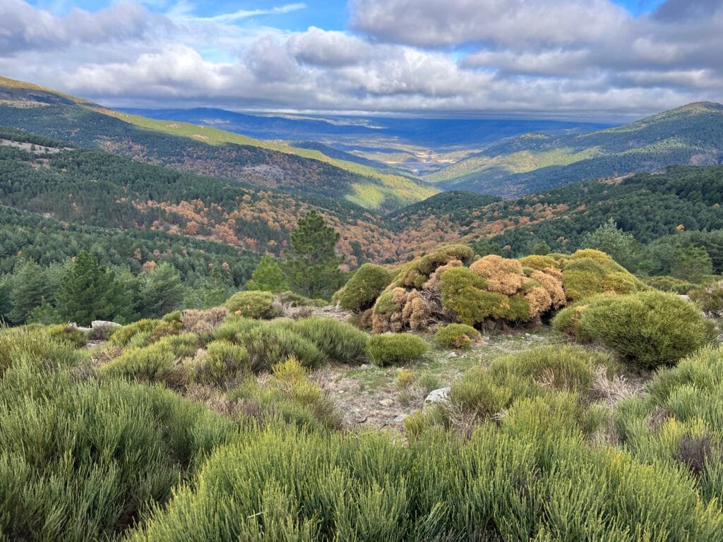 Castañar del Tiemblo desde Casillas