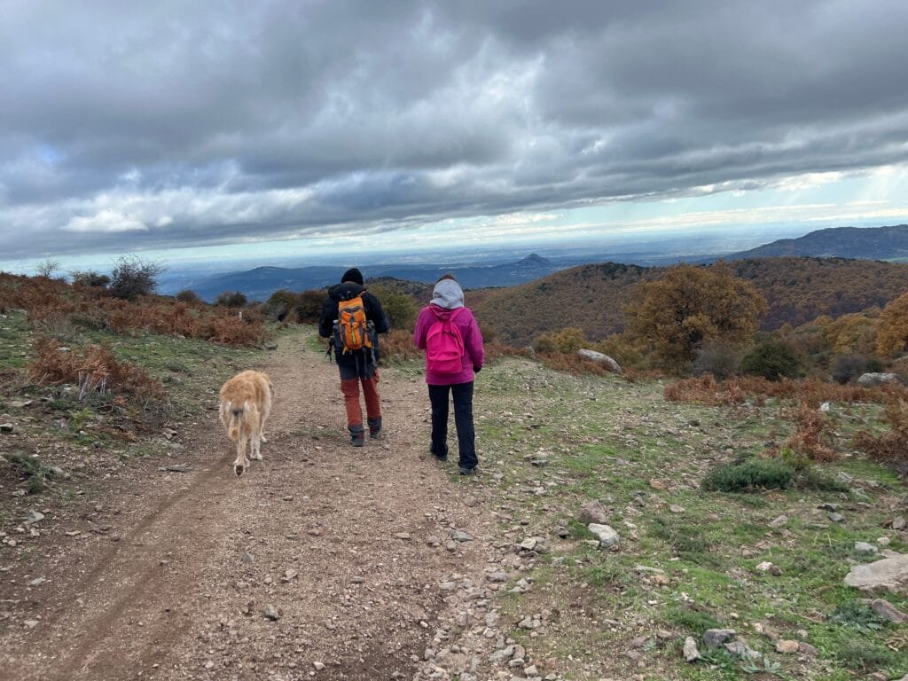 Bajada hacia el Castañar