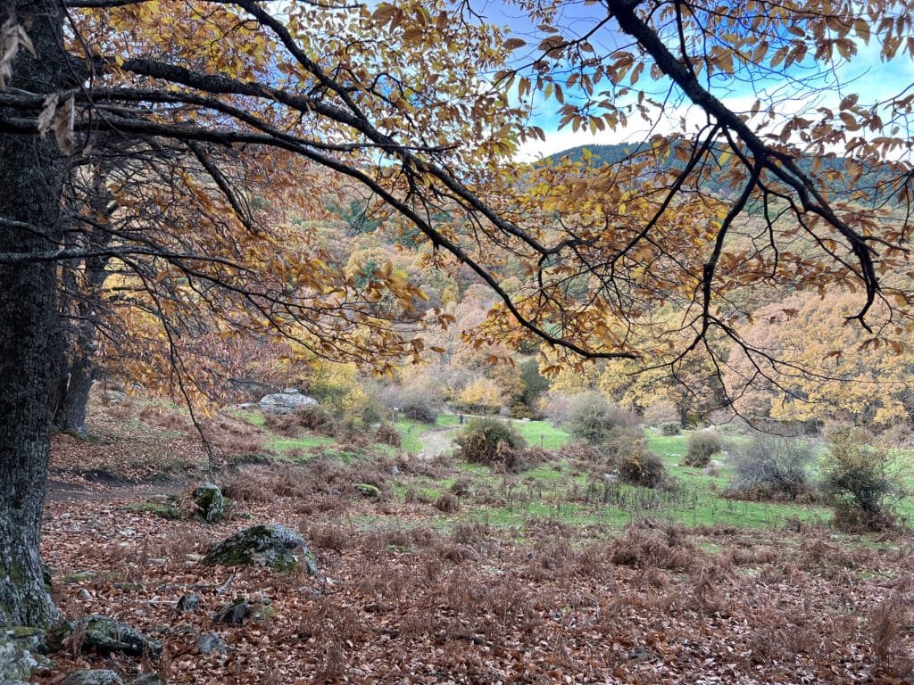 Castañar del Tiemblo desde Casillas