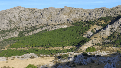 Sierra de Grazalema