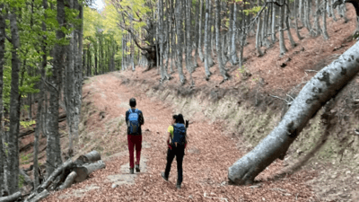 rutas en pirineos