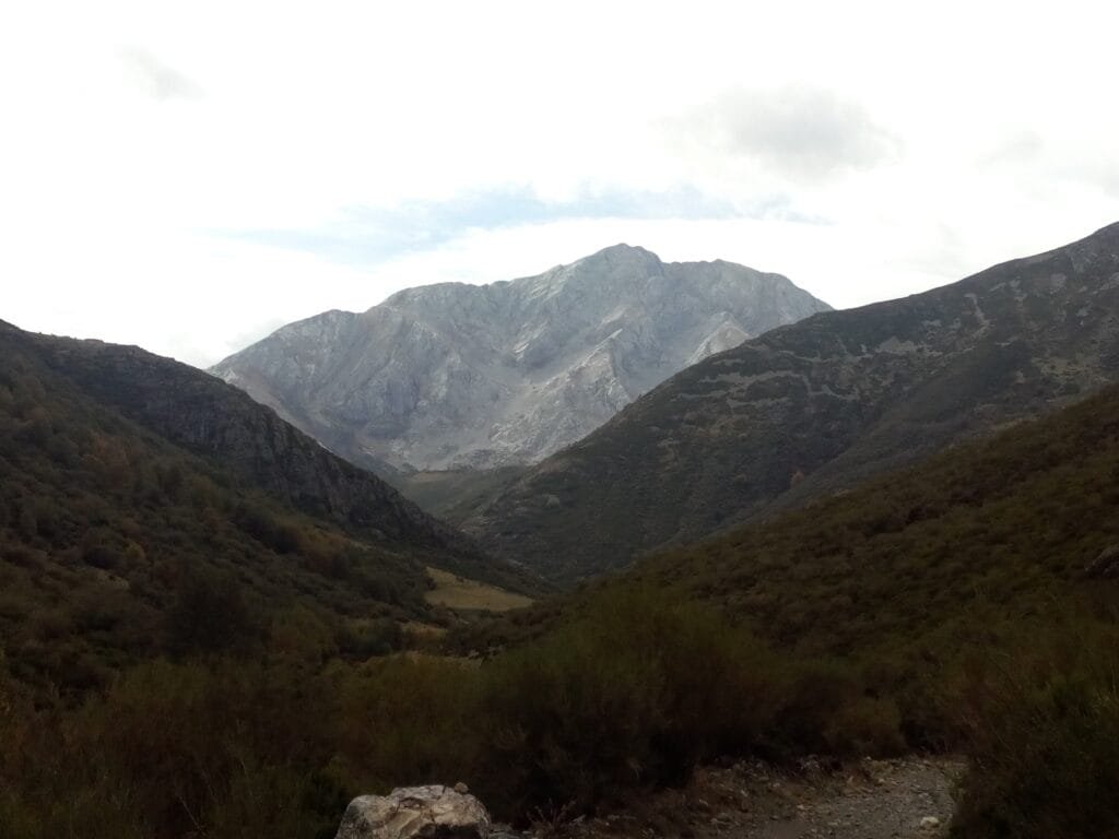 Vista de espiguete