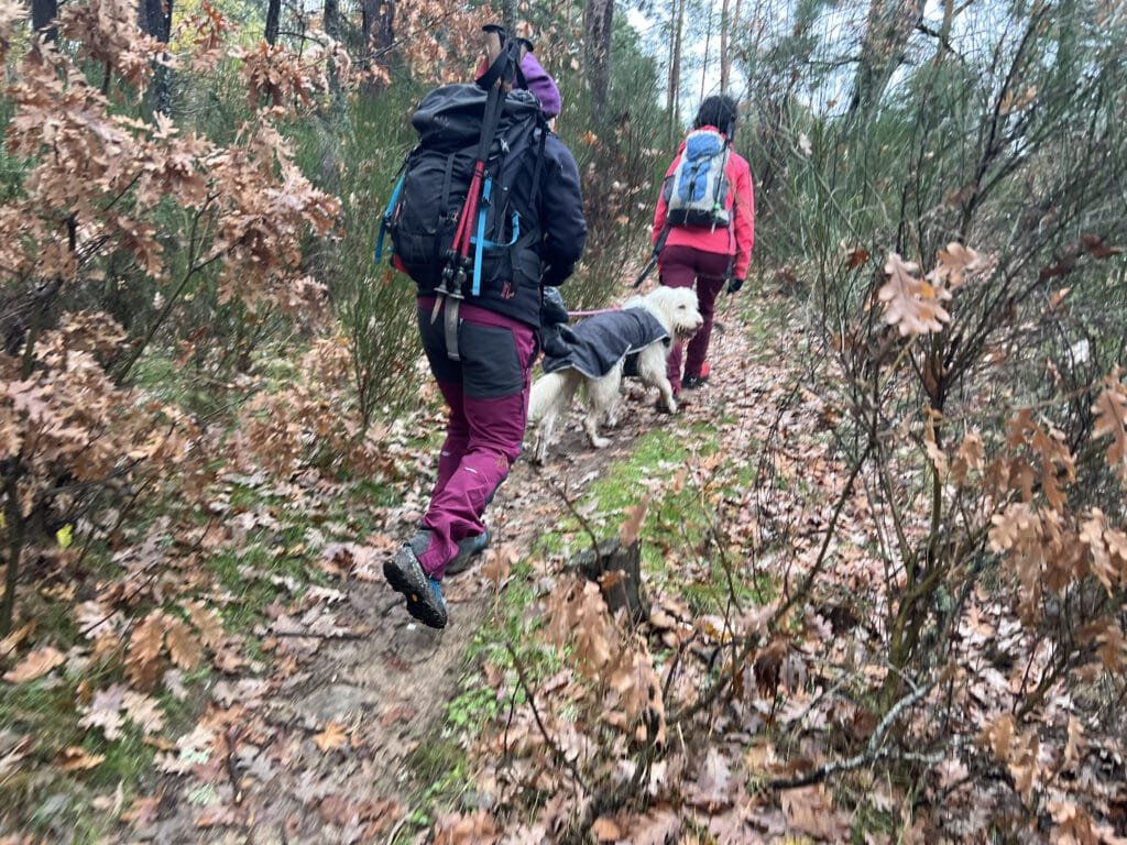 Saliendo del rio