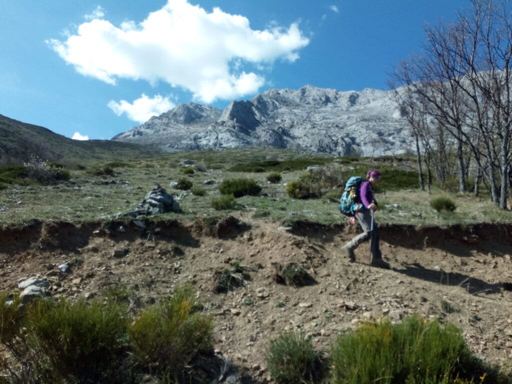 Espiguete