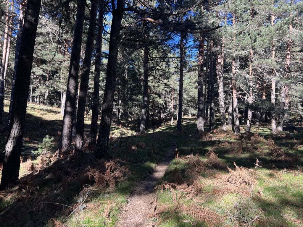 Sendero