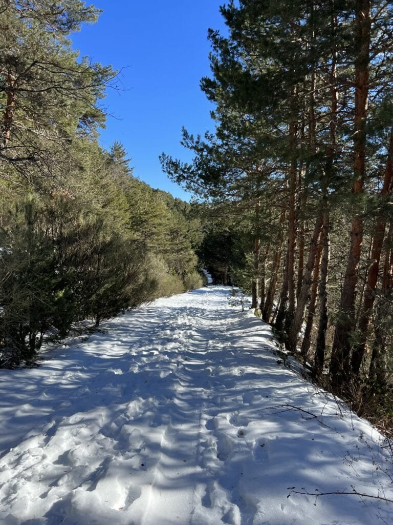 Pista y nieve de montaña