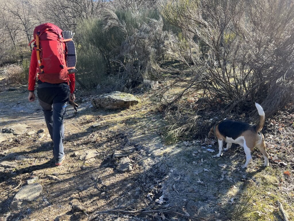 Gargantas de Bohoyo y Navamediana