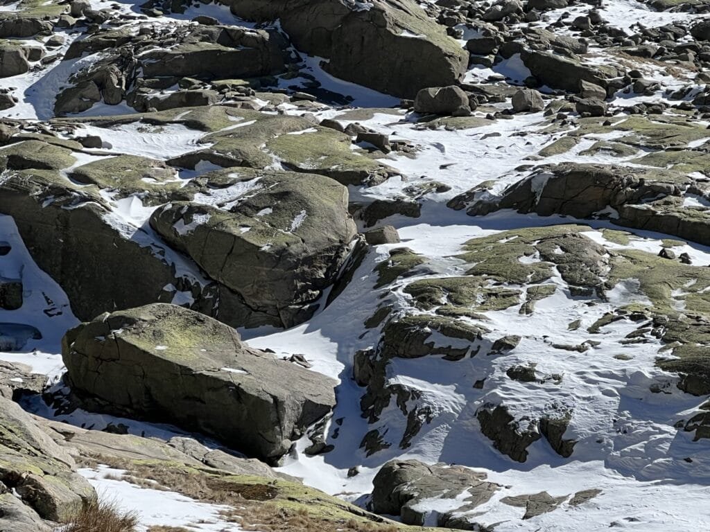 Nieve