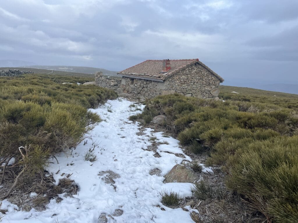 Regajo Alto