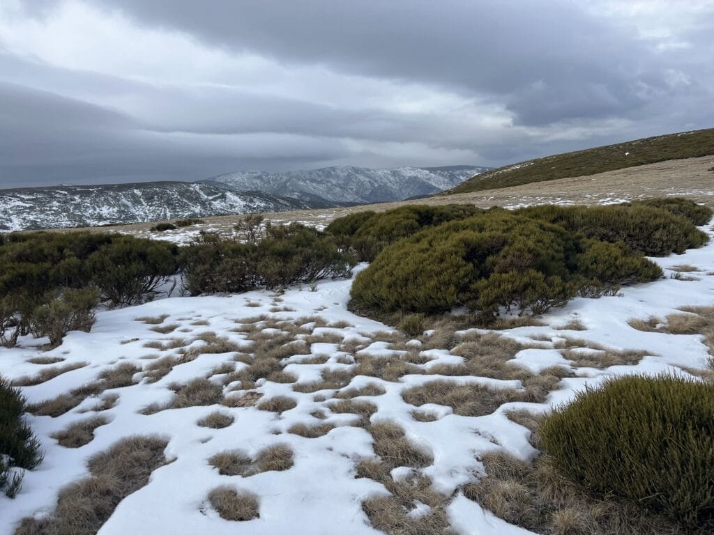 Gargantas de Bohoyo y Navamediana
