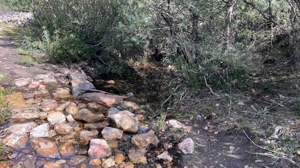 Arroyo