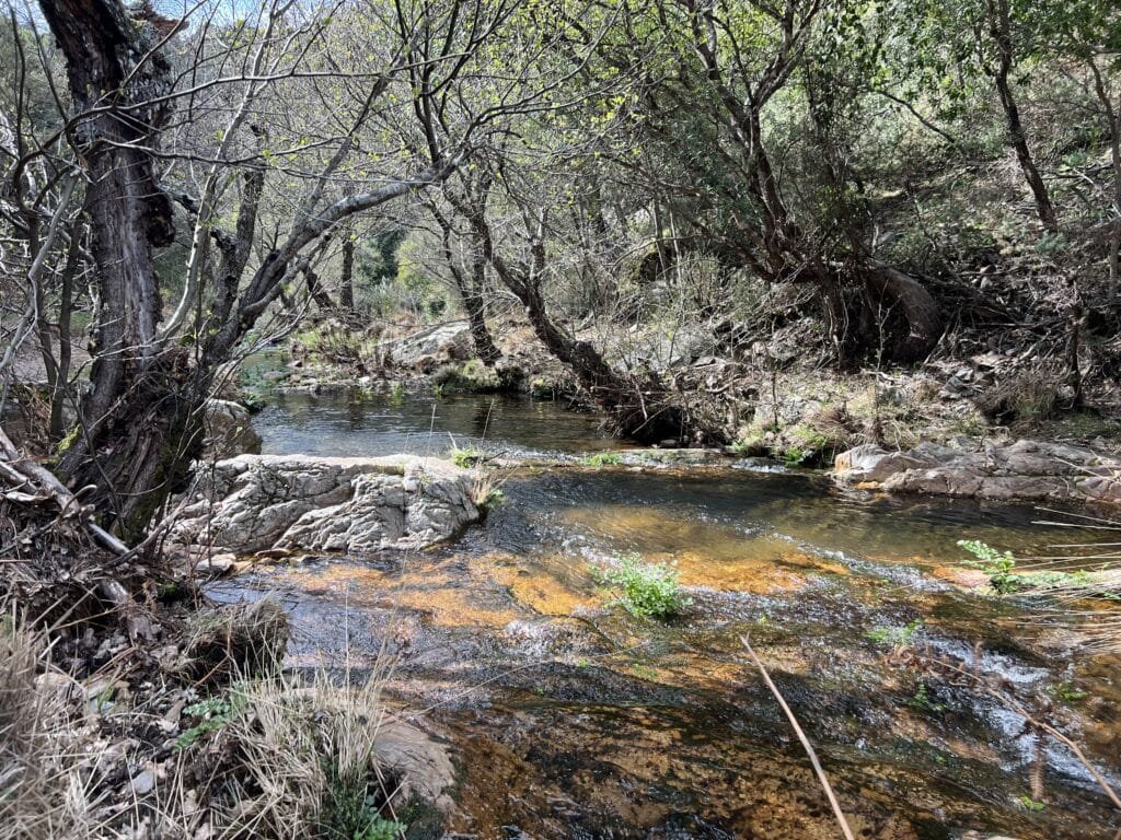Arroyo de montaña