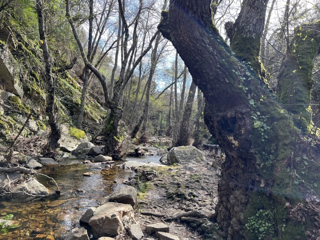 Sierra Madrona
