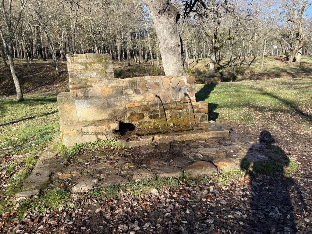 Las Sierpes y Roble del Abuelo