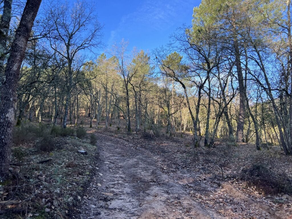 Las Sierpes y Roble del Abuelo