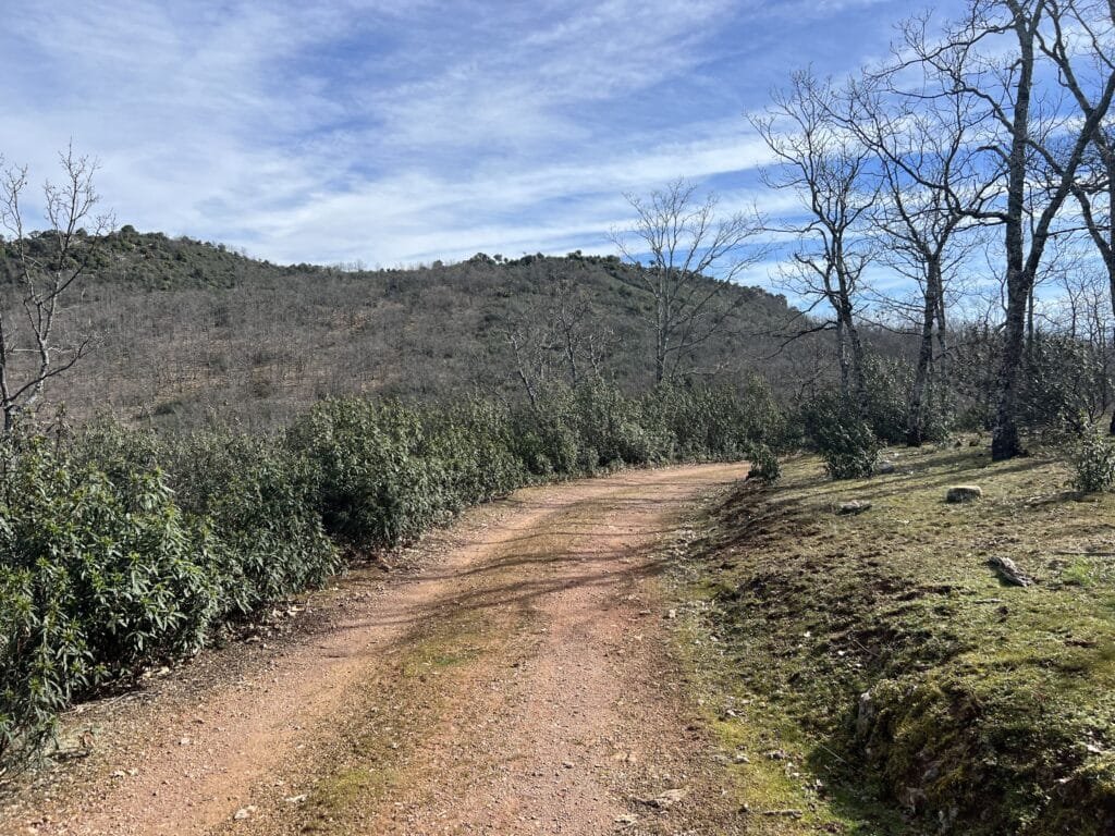 Las Sierpes y Roble del Abuelo