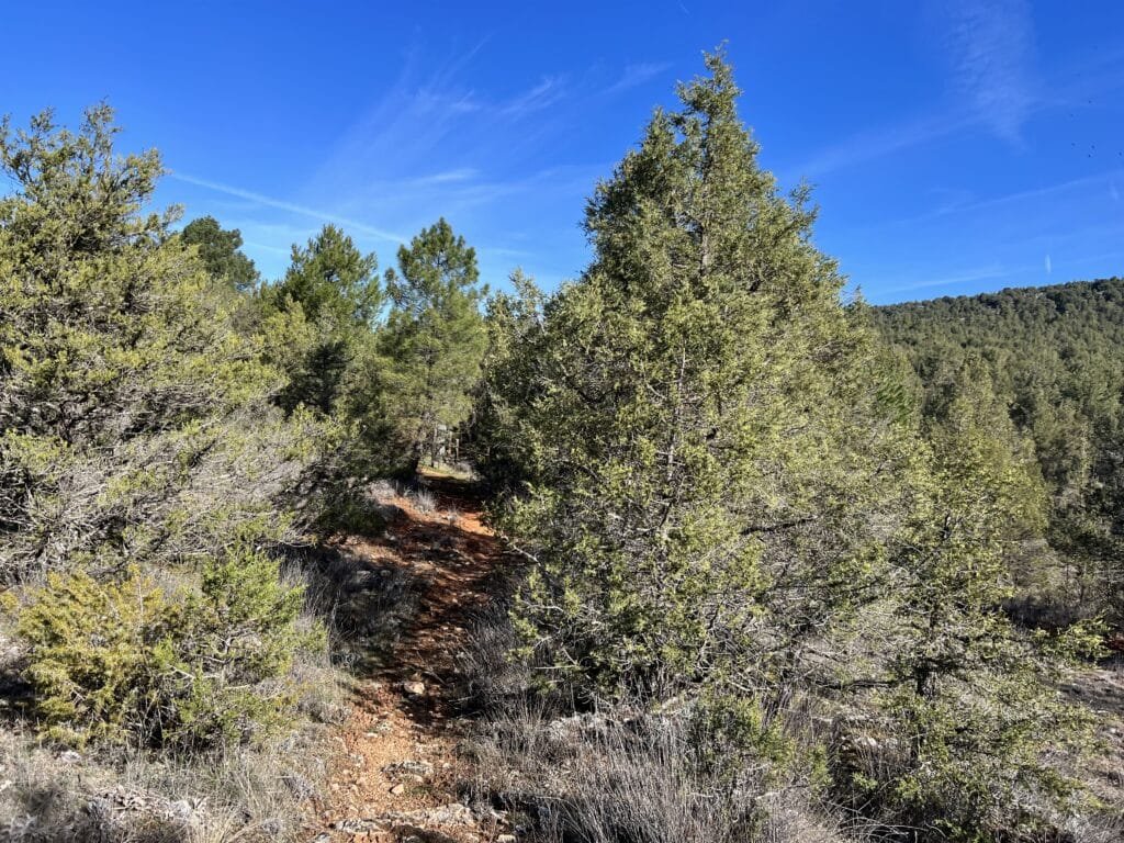 Circular del Cañón del Rio Lobos