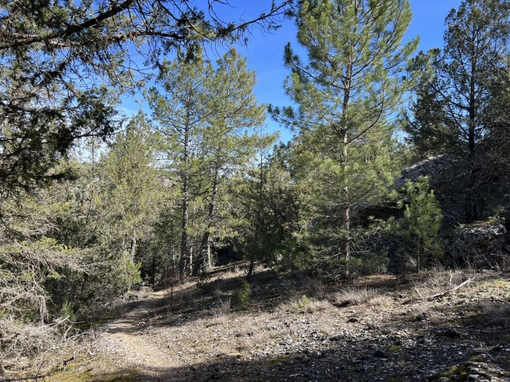 Sendero