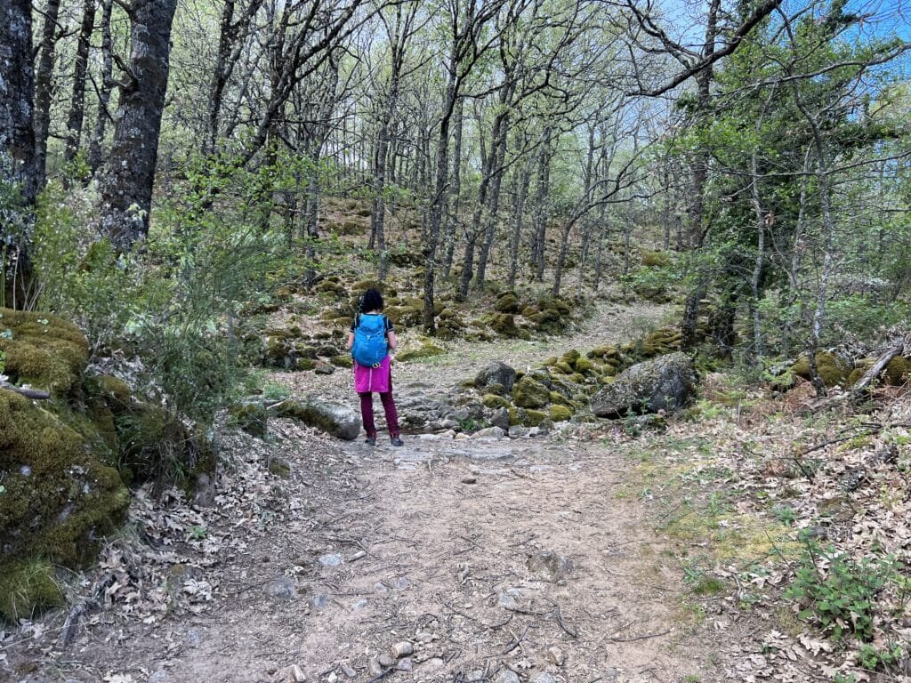 Ruta del Cerezo en Flor