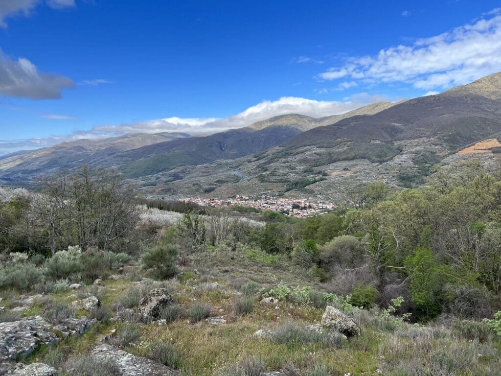 Ruta del Cerezo en Flor