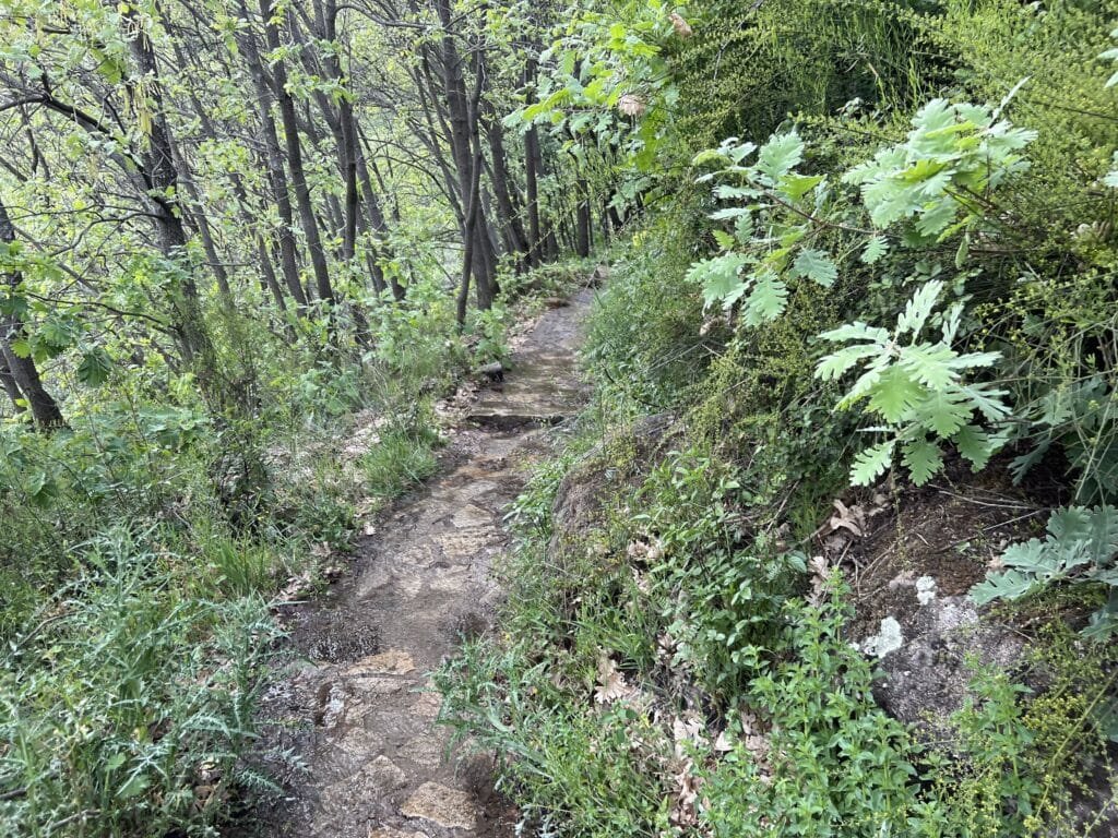 Garganta de las Nogaledas