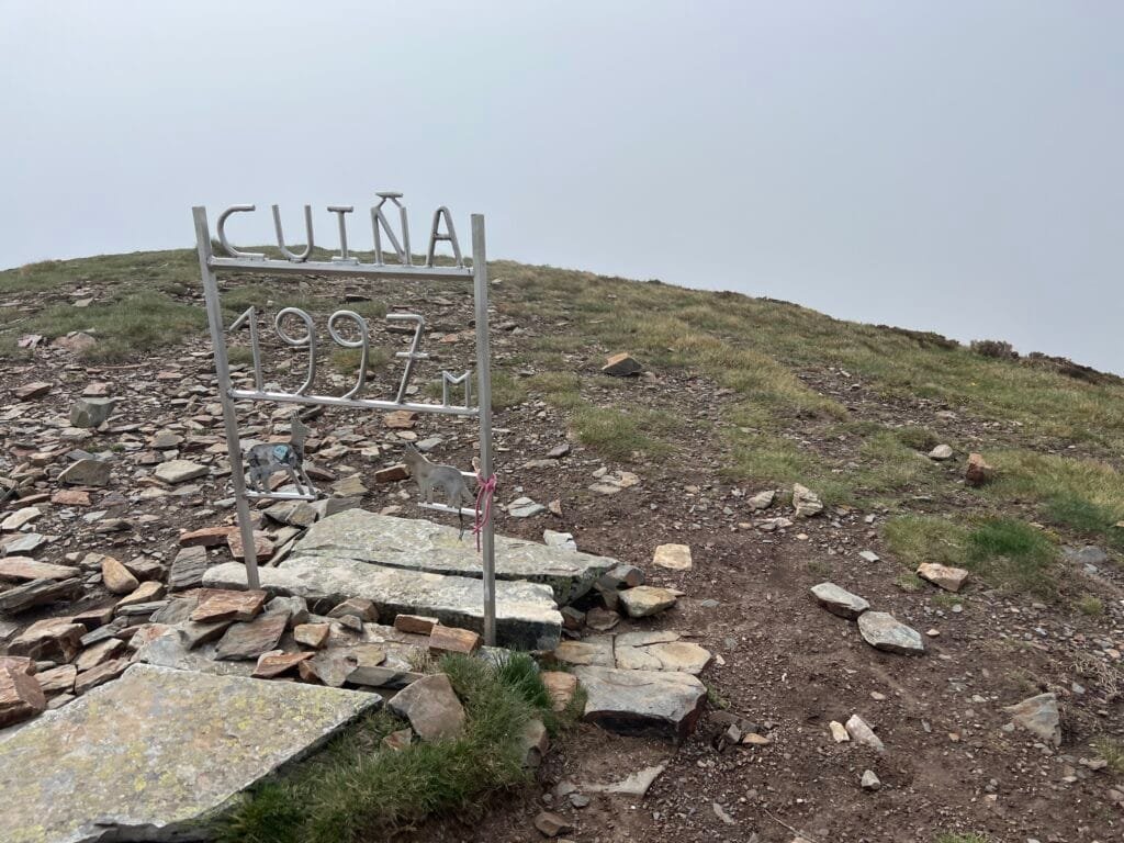 Pico Cuiña
