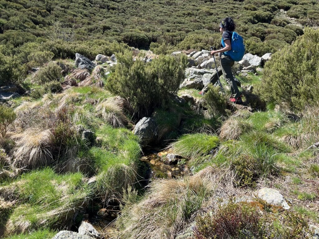 Vizcodillo desde Truchillas