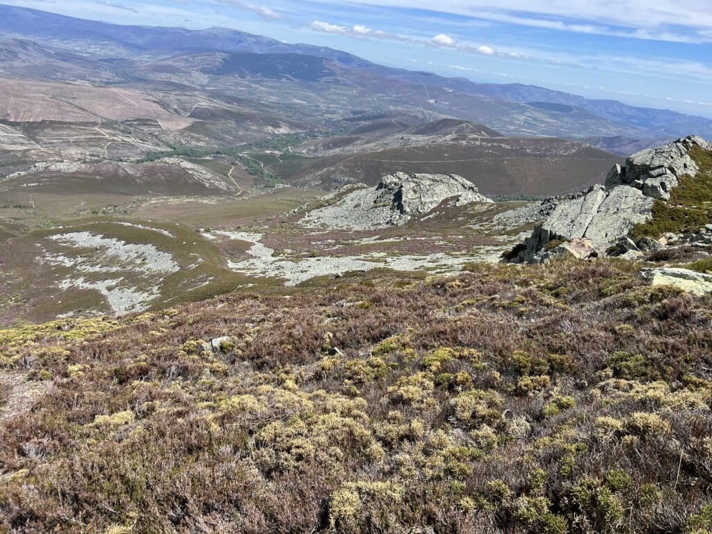 Matorrale