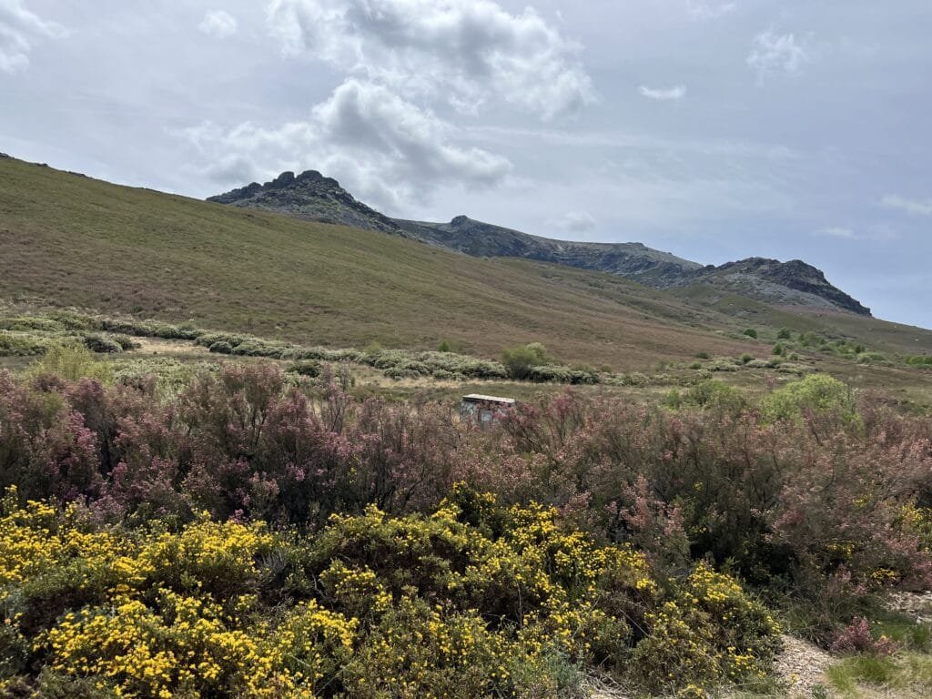 Vizcodillo desde Truchillas