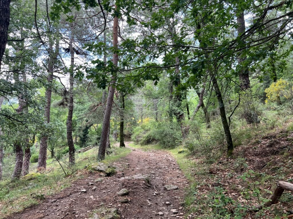 Abantos y el Hayedo de El Escorial