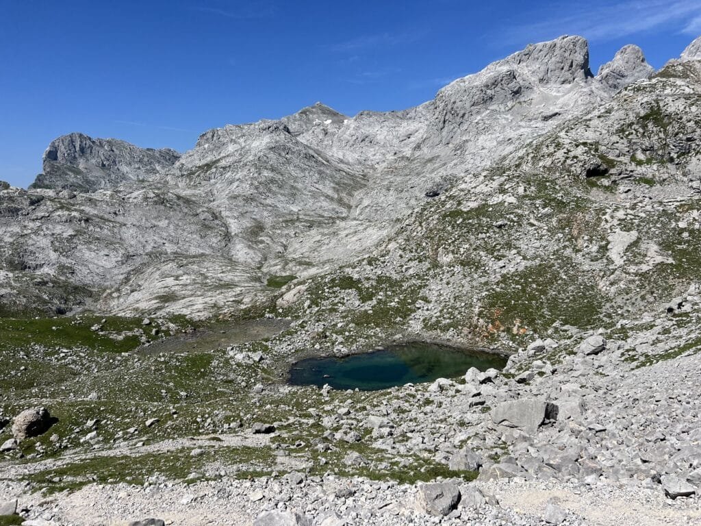 Llagos de picos